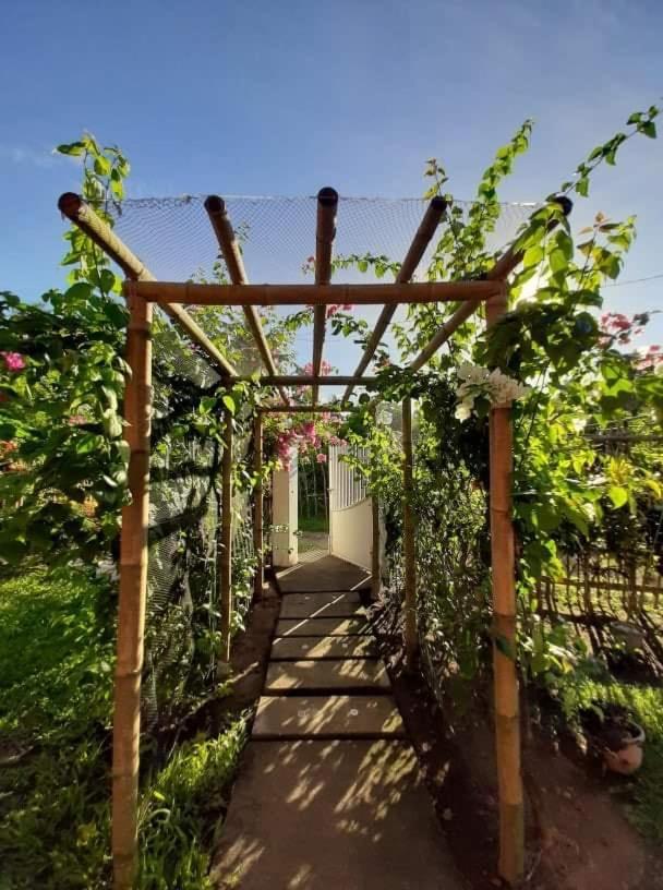 Dreamink Farm Og Myl'S Place Sorsogon Exterior photo
