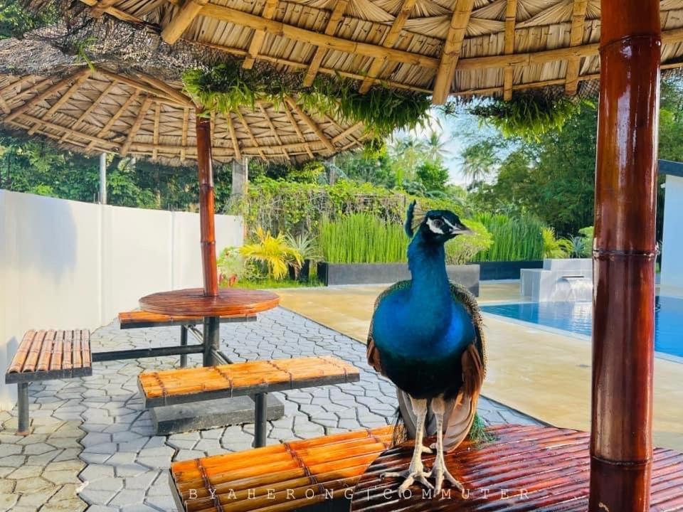 Dreamink Farm Og Myl'S Place Sorsogon Exterior photo