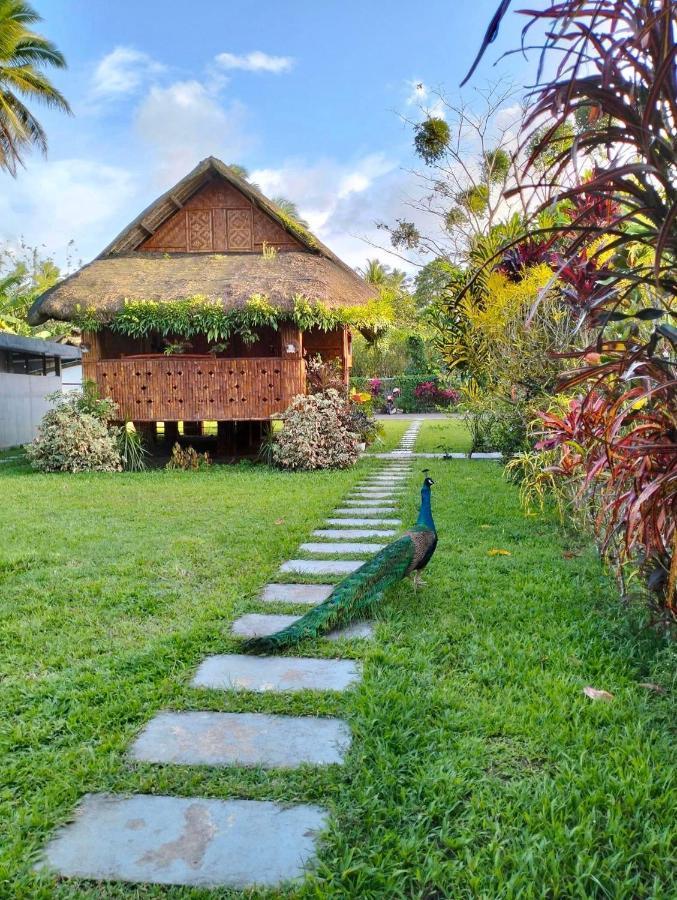 Dreamink Farm Og Myl'S Place Sorsogon Exterior photo